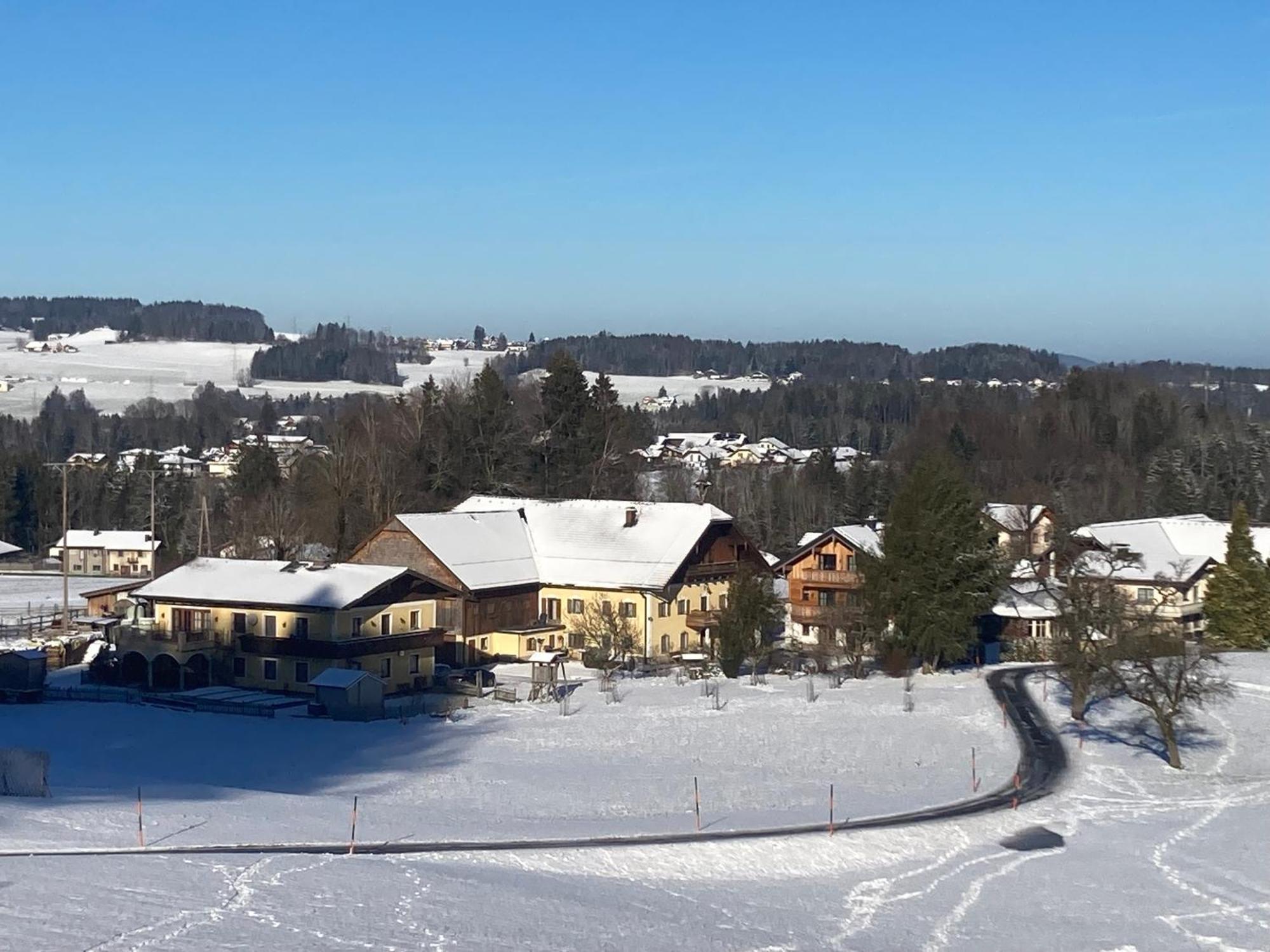 Obereggut Lejlighed Hof bei Salzburg Eksteriør billede